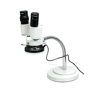 Stereo Microscope